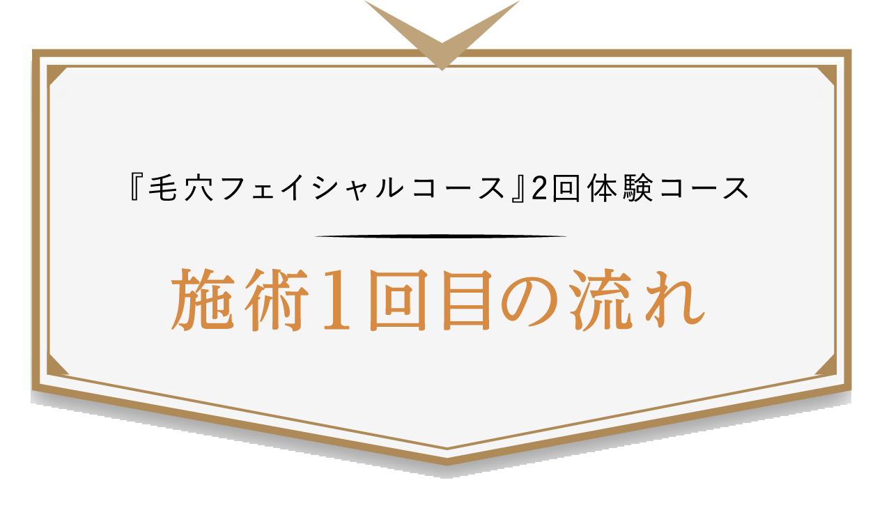 『毛穴フェイシャルコース』2回体験コース 施術1回目の流れ