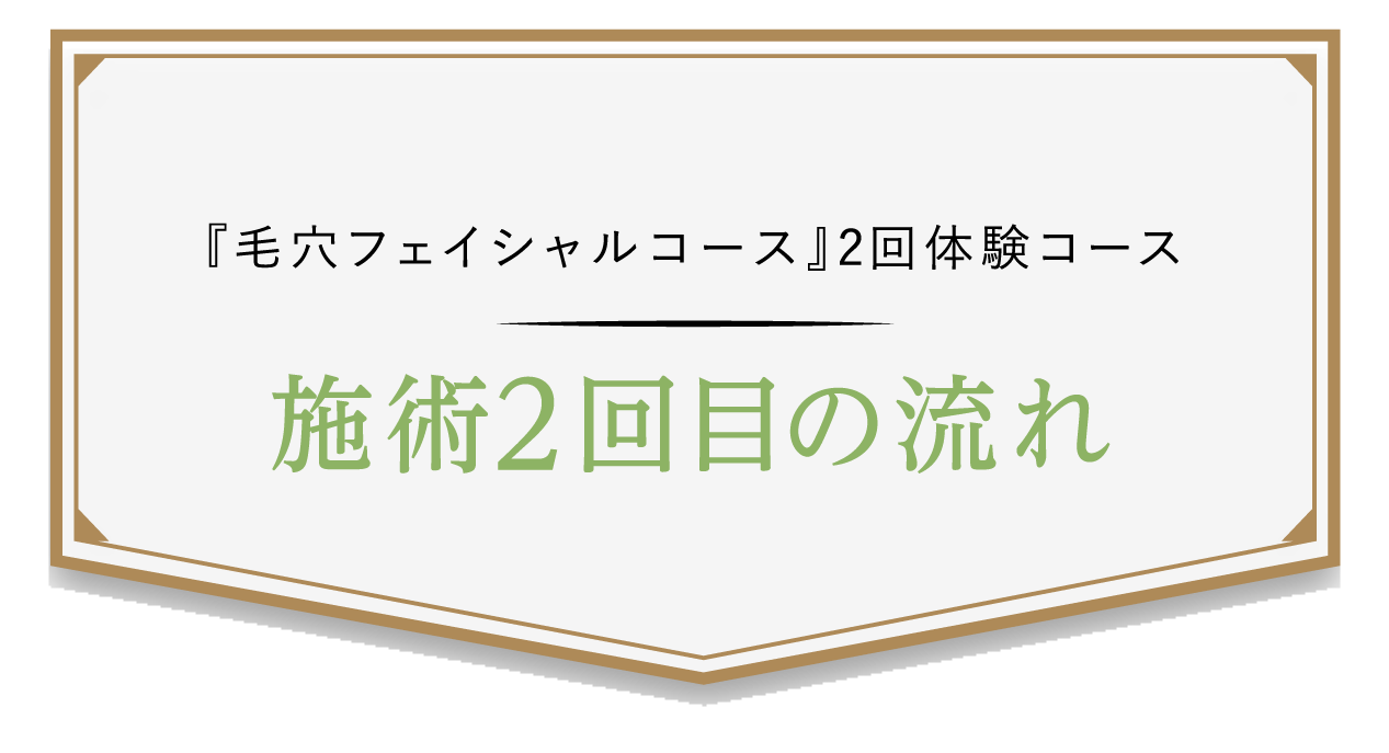 『毛穴フェイシャルコース』2回体験コース 施術2回目の流れ