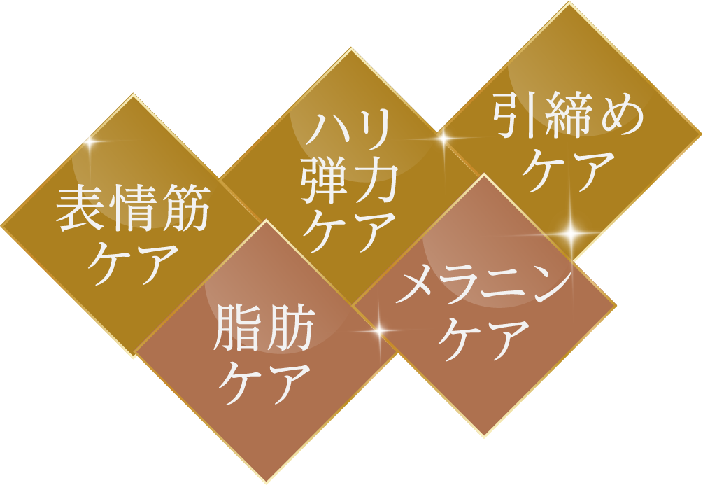表情筋ケア ハリ弾力ケア 引締めケア 脂肪ケア メラニンケア ※写真はイメージです。